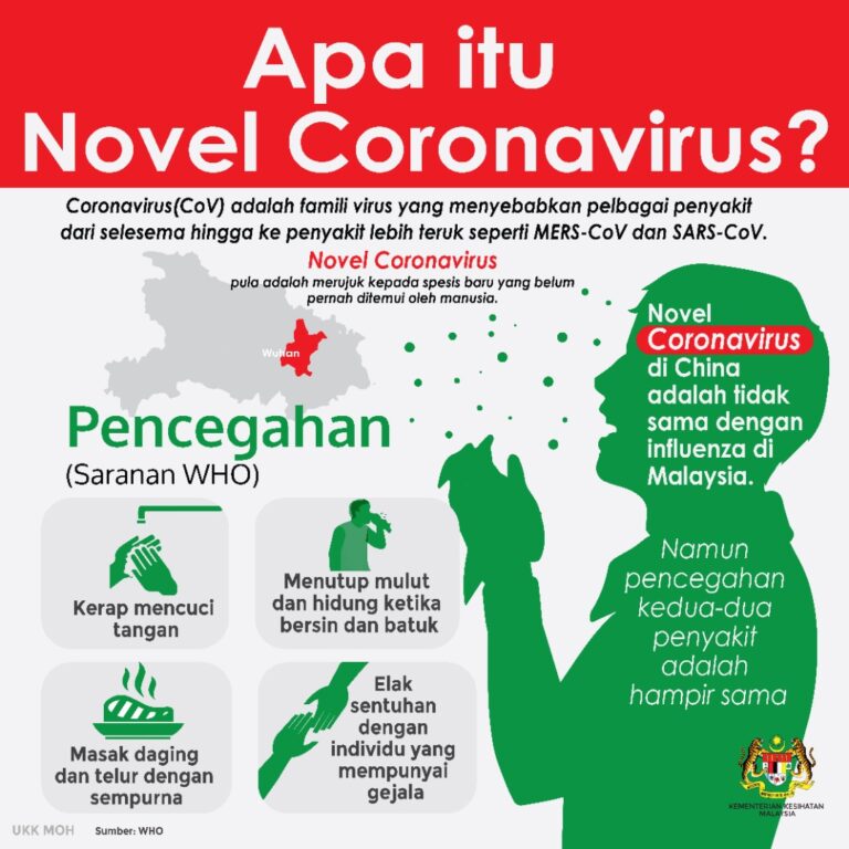 novel 1