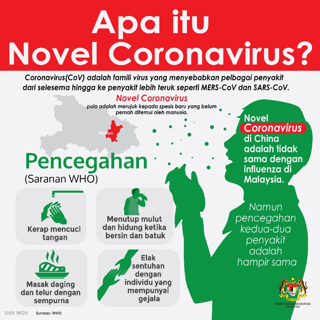 novel 1